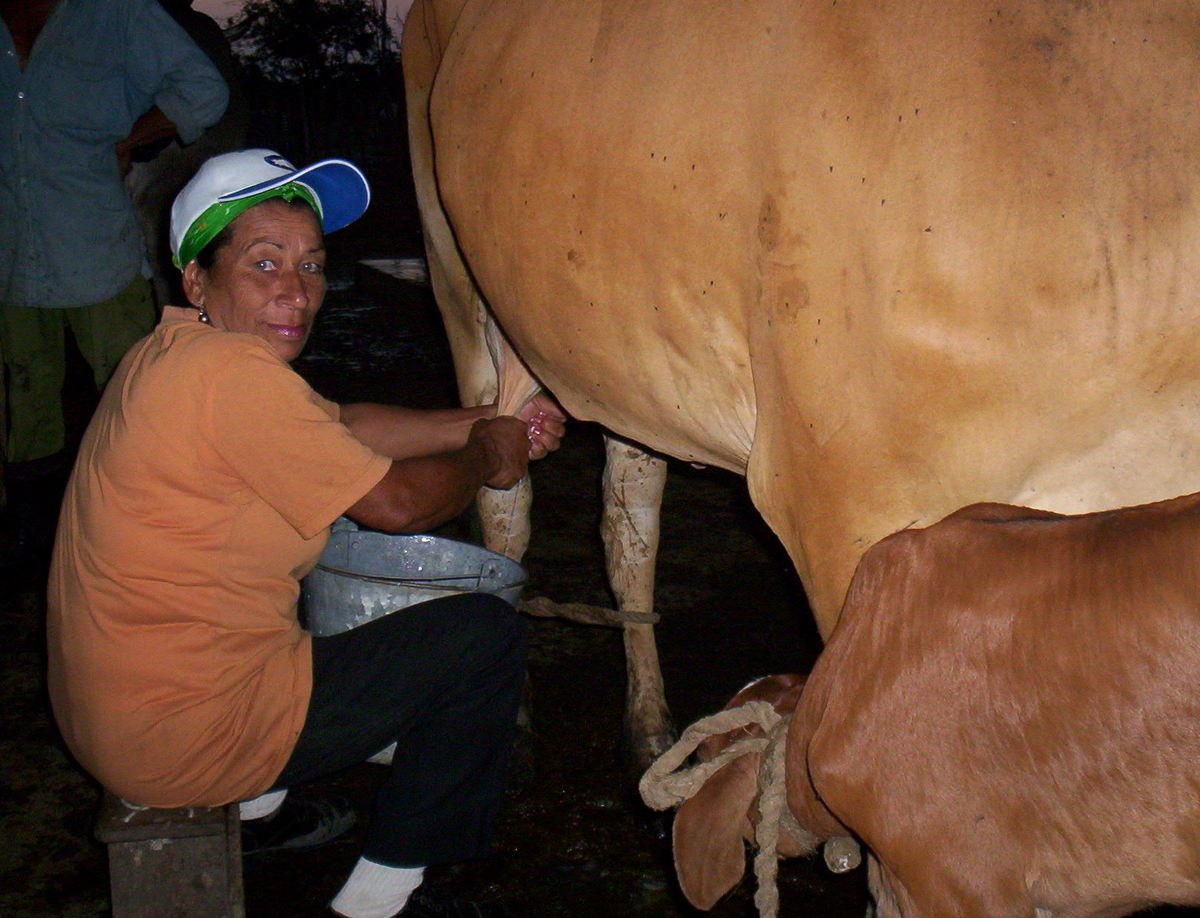 Mujeres rurales en Cuba