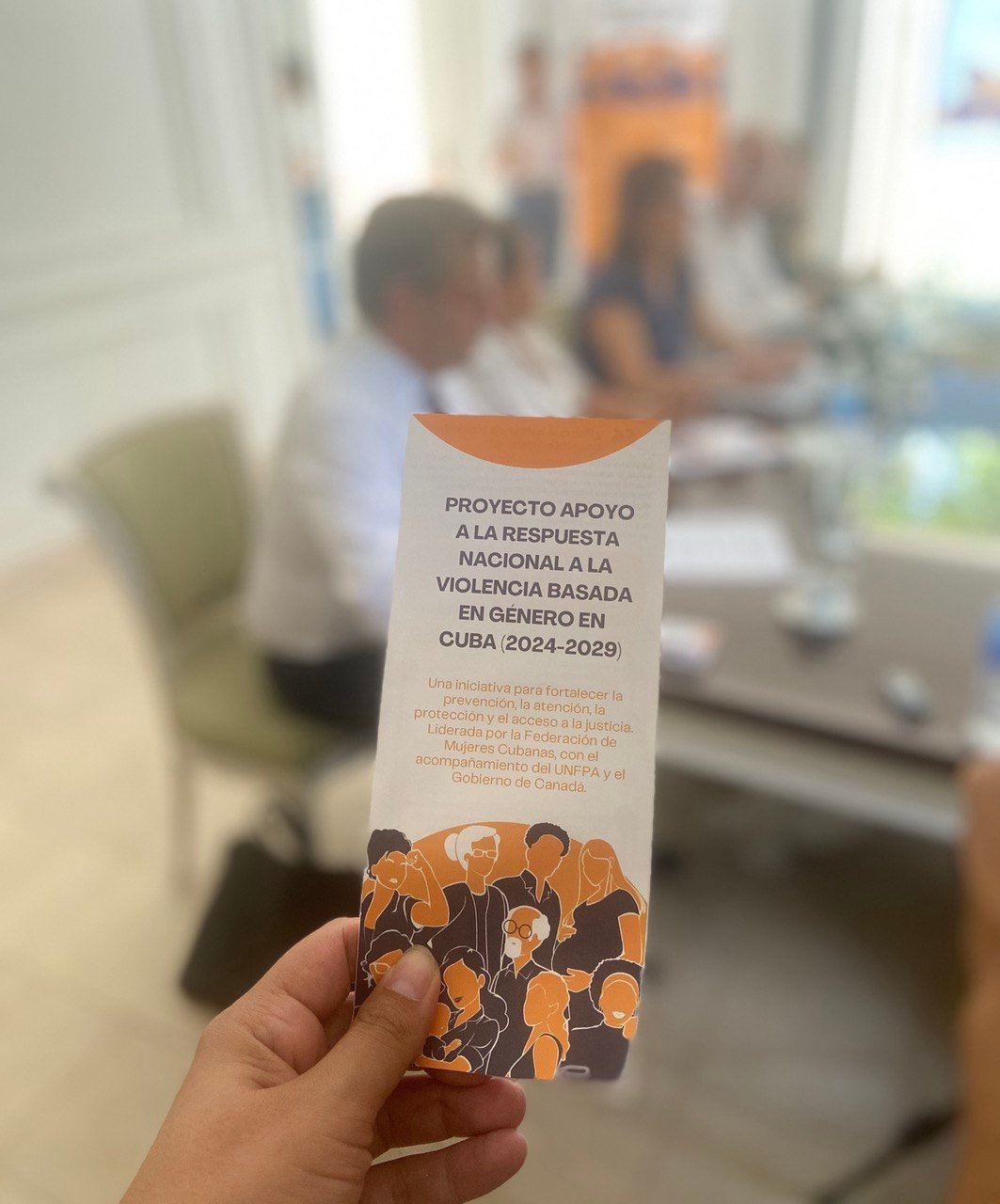 Consejería Nacional para victimas de violencia de género