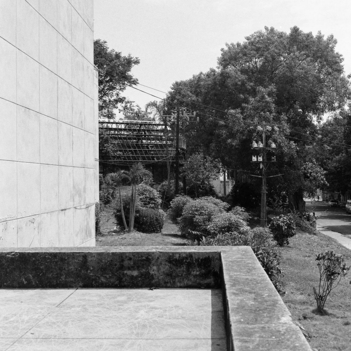 La Facultad de Artes y Letras de la Universidad de La Habana es uno de los espacios identificados como lugar probable para sufrir acoso. 