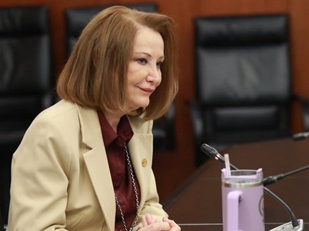 La senadora Laura Itzel Castillo Juárez.