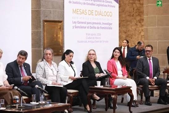 Estos espacios reúnen las voces de legisladoras y legisladores, familiares de víctimas, personas académicas, especialistas y funcionarias.