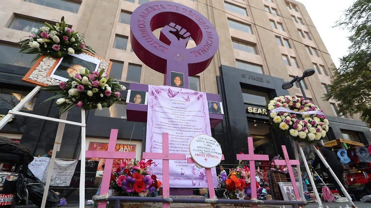 La iniciativa busca homologar en todo el país la tipificación, investigación y sanción del delito de feminicidio.