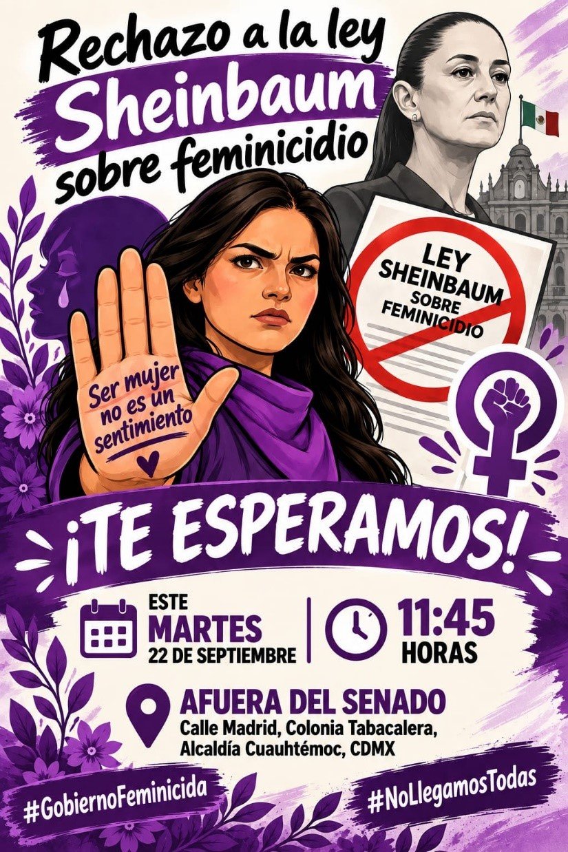 Protestas contra ley sobre feminicidios