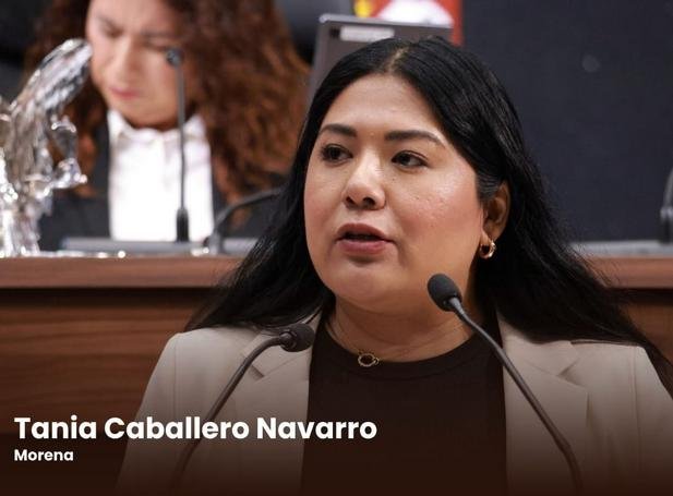 La presidenta de la Junta de Coordinación Política (Jucopo), de la LXVI Legislatura, diputada Tania Caballero Navarro.