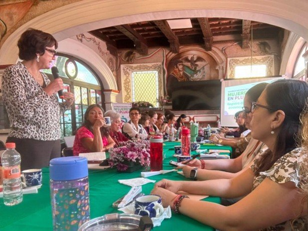 La ex candidata presidencial Patricia Mercado Castro intervino en la asamblea.