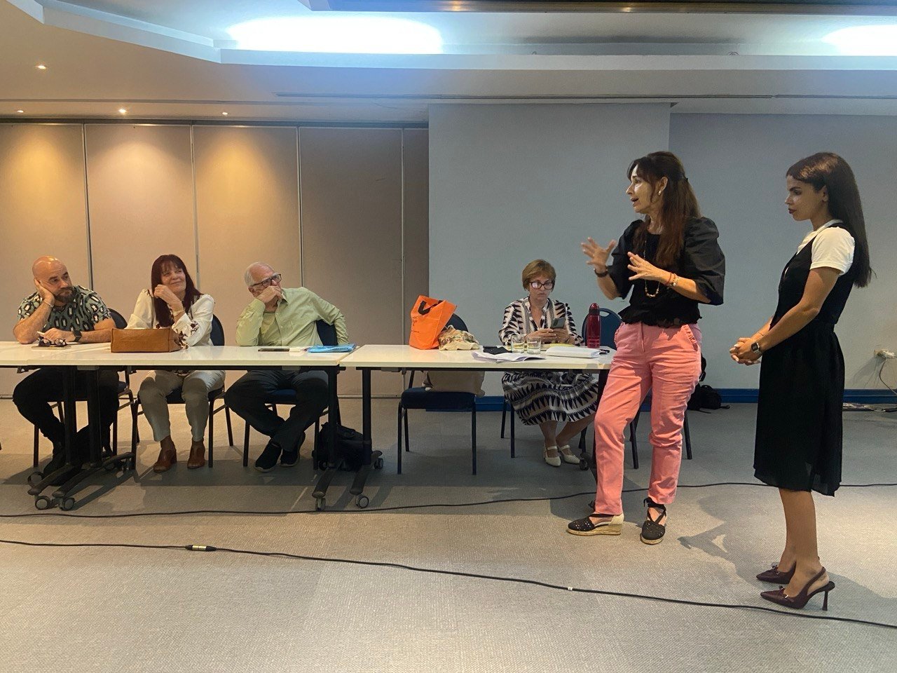 La psicóloga Adriana Agramonte, coordinadora técnica del consenso, afirmó que en el imaginario social todavía está internalizada la idea de la monstruosidad y lo patológico en torno a la intersexualidad y que urge transformarla.