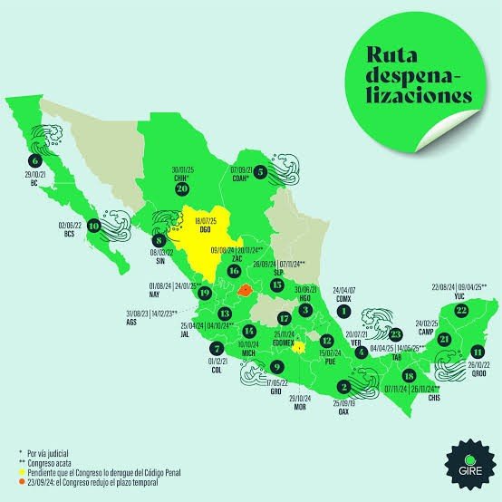 Ruta de la despenalización del aborto en México
