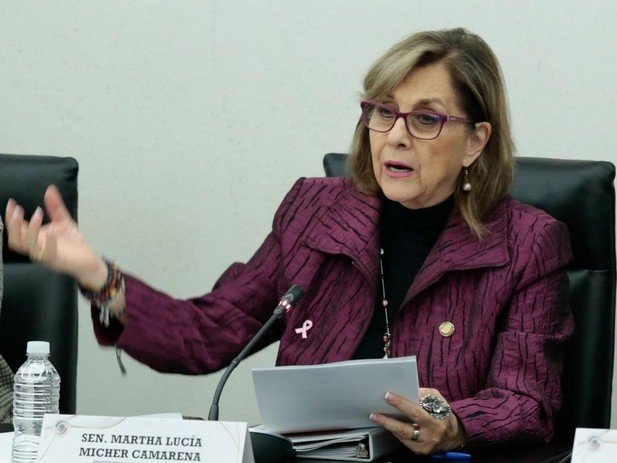 Pie de foto: La senadora Martha Lucía Mícher adelantó que en los próximos días estará listo el borrador del dictamen.